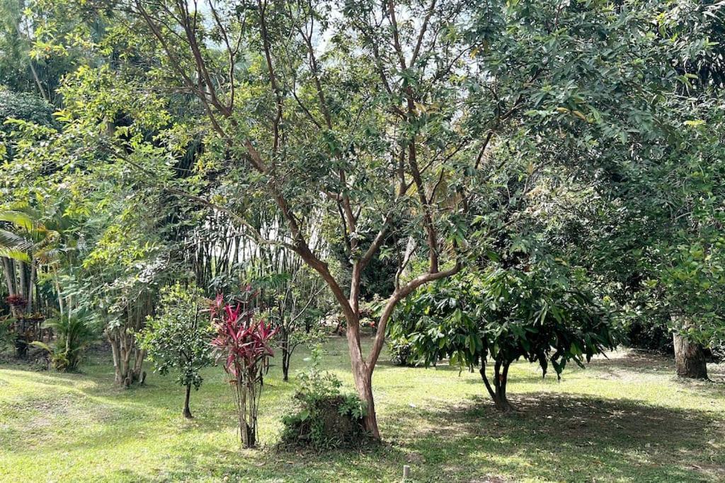 Casa Campestre Con Piscina Y Jacuzzi Cerca A Ginebra Valle Del Cauca Apartment Guacari