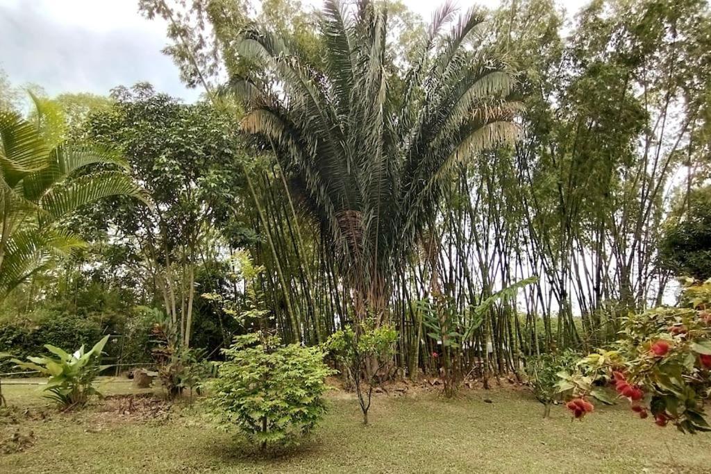 Casa Campestre Con Piscina Y Jacuzzi Cerca A Ginebra Valle Del Cauca Guacari