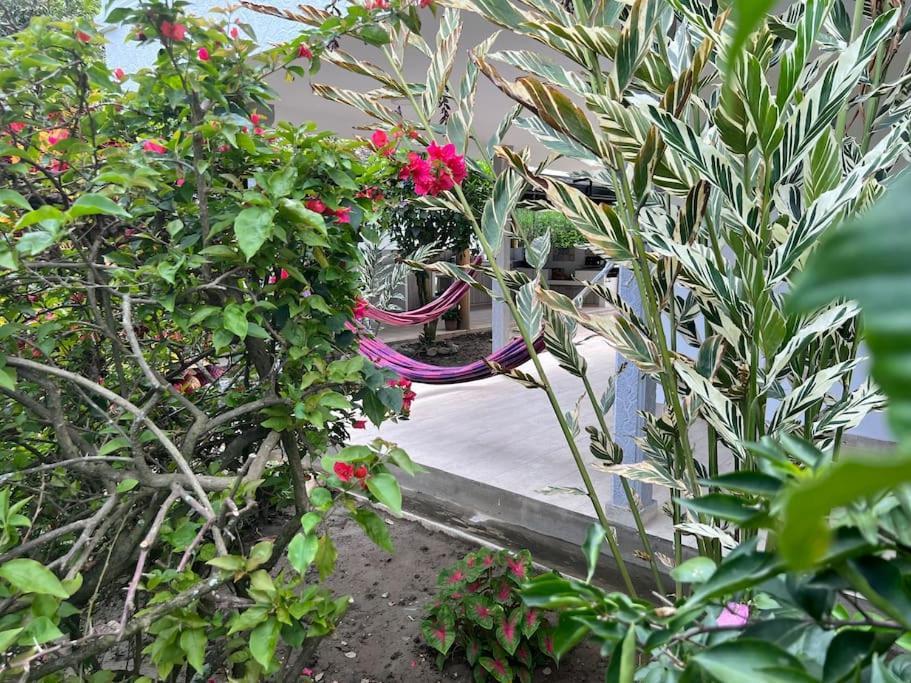 Casa Campestre Con Piscina Y Jacuzzi Cerca A Ginebra Valle Del Cauca Apartment *